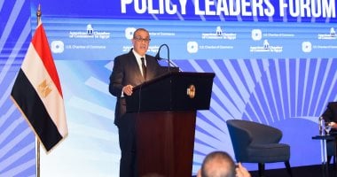 بدر عبد العاطى: نتنياهو