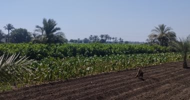 هيئة المجتمعات العمرانية الجديدة