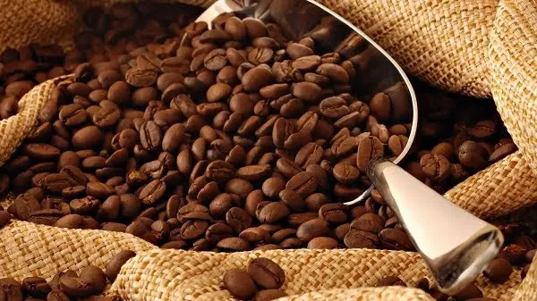 أسعار البن في مصر اليوم جميع الأنواع