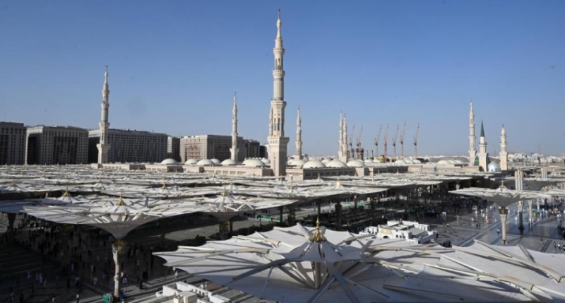 إدارة الحشود بالحج نموذج