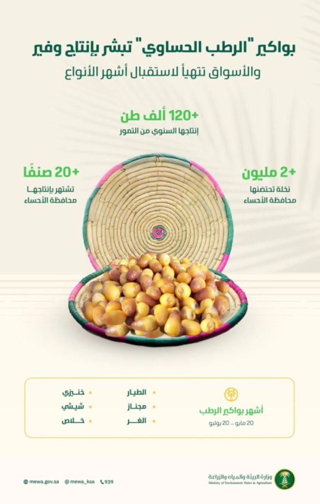 "الرطب الحساوي" يبشر بإنتاج
