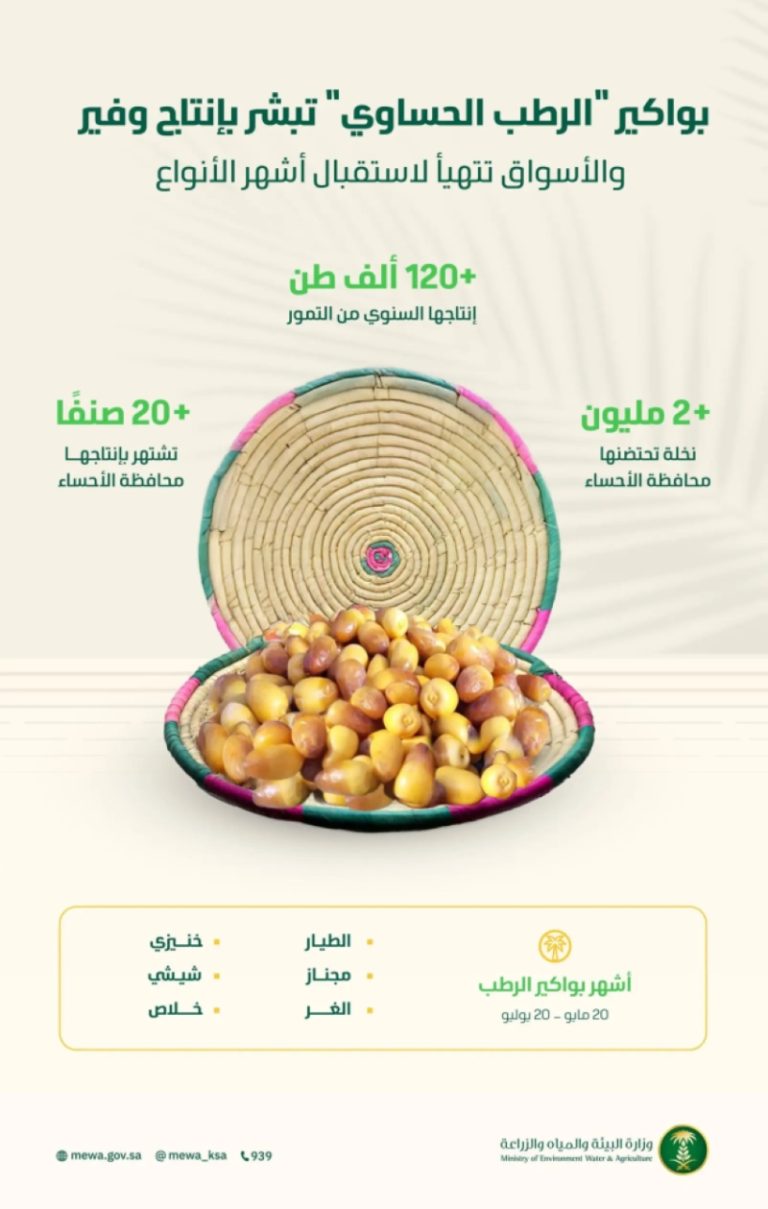 “الرطب الحساوي” يبشر بإنتاج وفير والأسواق تستعد لاستقبال أشهر أنواعه من الخلاص والشيشي والغر