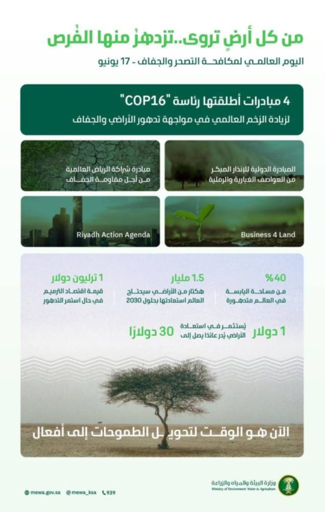المملكة تشرع في تأهيل