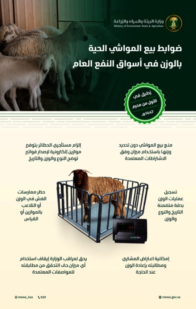 "الموعد المحدد" بدء تطبيق