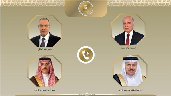 بحث عبد العاطي تداعيات