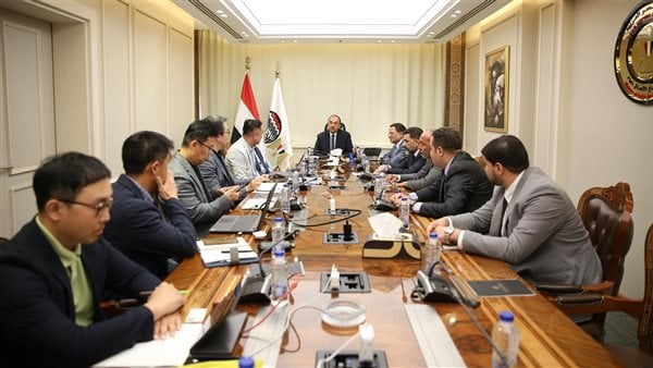 بحث وزير قطاع الأعمال