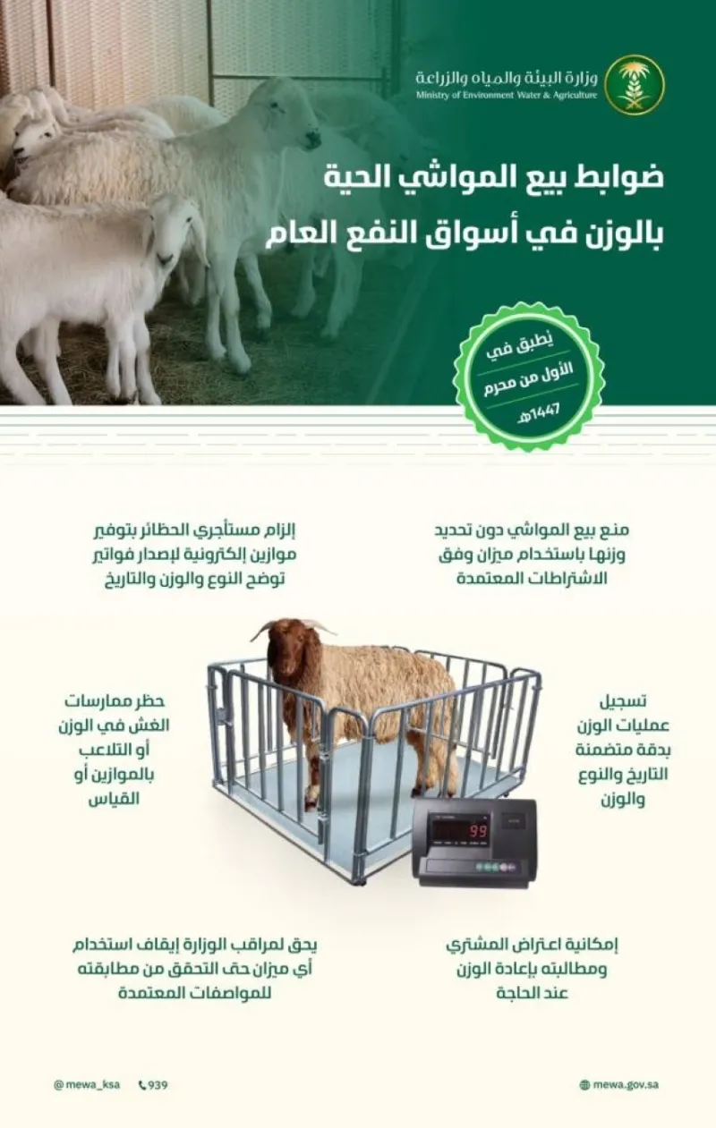 بيع المواشي الحية بالوزن يبدأ الخميس المقبل