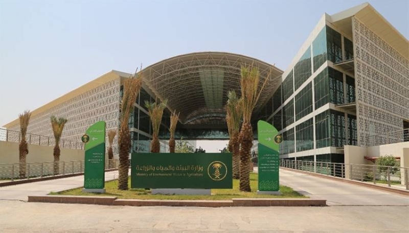 تجربة حصاد ثلاث أصناف