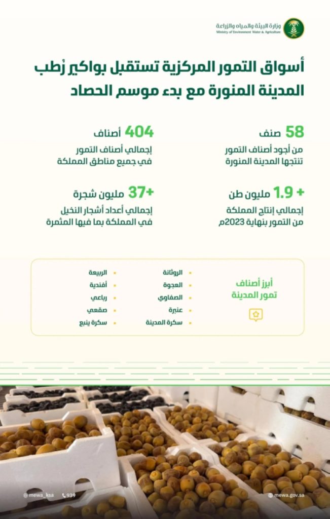 تمور المدينة المنورة تُعزز
