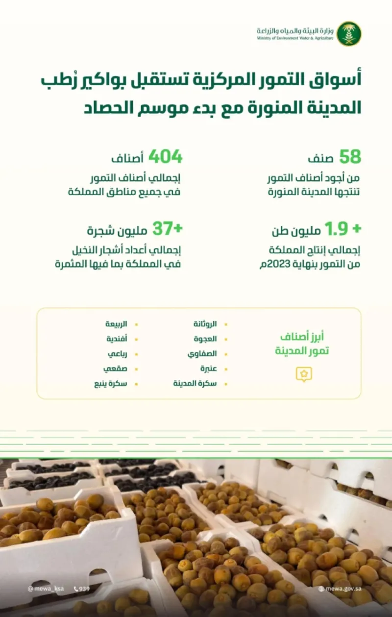 تمور المدينة المنورة تُعزز أسواق المملكة مع موسم الحصاد بــ 58 صنفًا جديدًا  
أسواق المملكة تشهد انتعاشًا بفضل بواكير تمور المدينة المنورة  
انطلاق موسم حصاد تمور المدينة يُنعش الأسواق بــ 58 صنفًا  
موسم الحصاد يجلب تنوعًا كبيرًا مع بواكير تمور المدينة المنورة