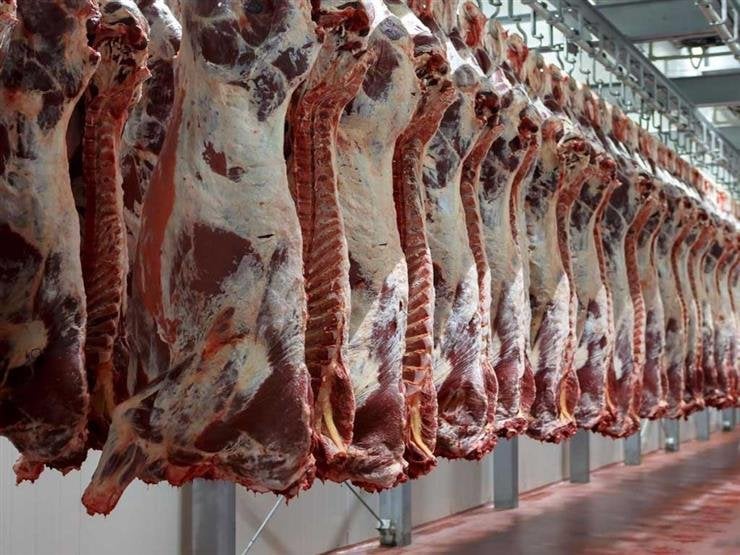 توزيع 50 طنّ لحوم