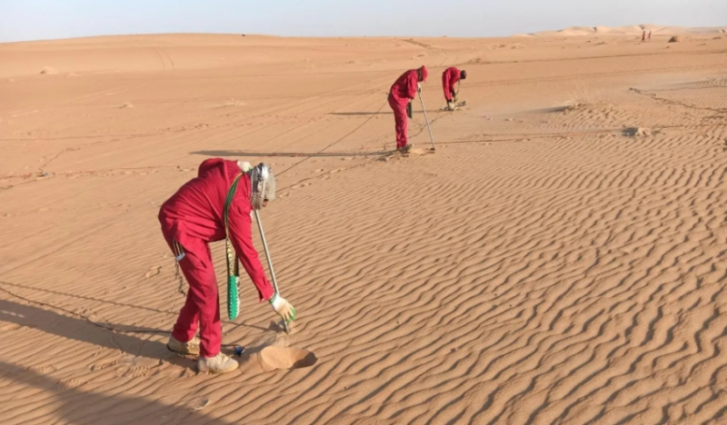 توزيع 50 مليون بذرة