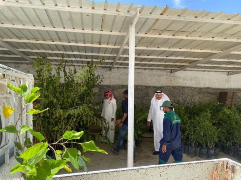 توزيع 5000 شتلة في “بيئة بني مالك” لتعويض المتضررين من حرائق ميسان