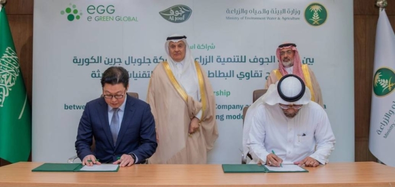 توطين إنتاج تقاوى البطاطس