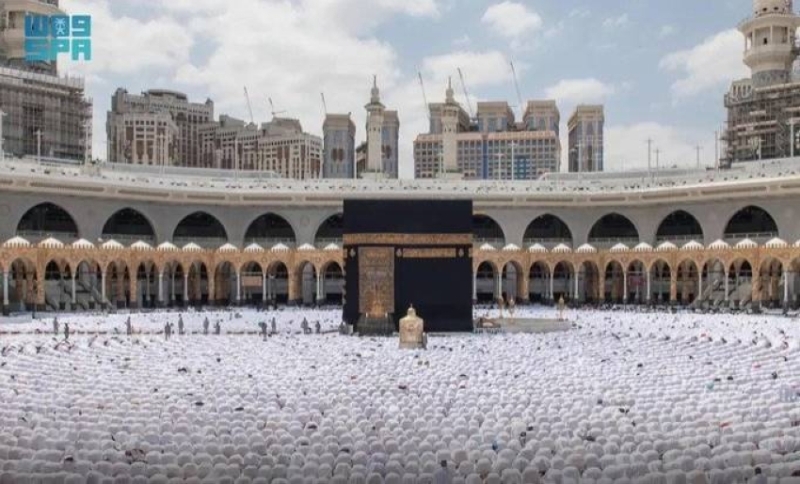 جهود المملكة: خدمات واهتمام