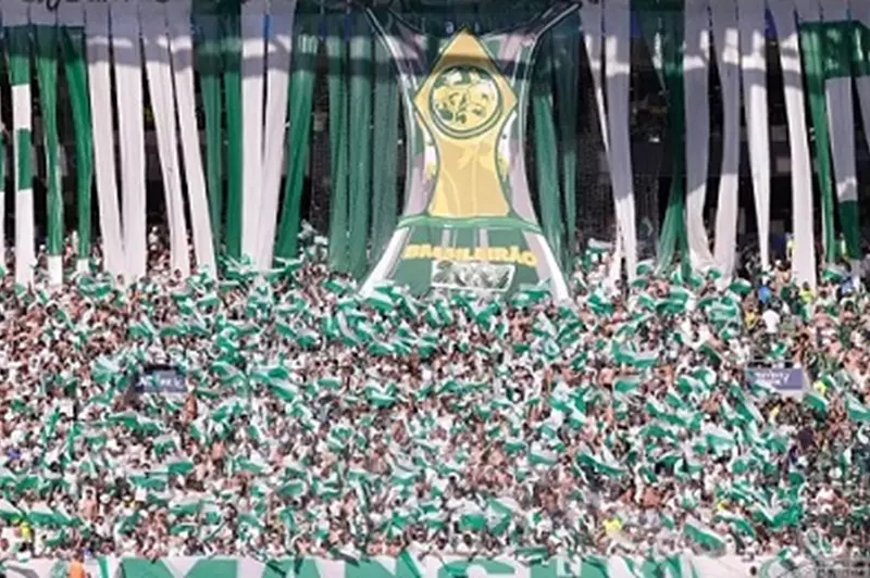"دعم الحلفاء للبرازيل والمهاجرين