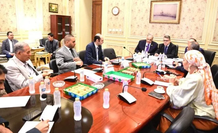 دعم حقوق الإنسان للهيئة الوطنية المستقلة "المجلس القومي"