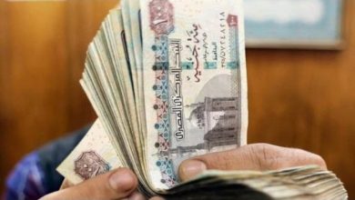 راتبك هيبقى كام!؟! قيمة زيادة المرتبات