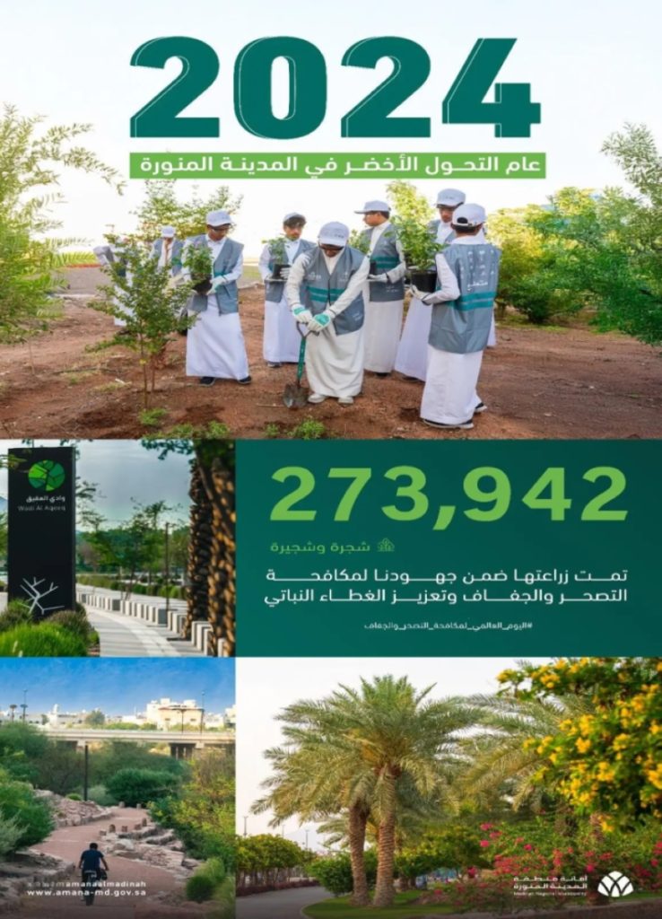 زراعة 273 ألف شجرة