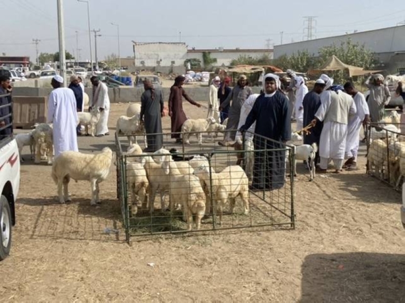 زيادة الطلب ترفع أسعار
