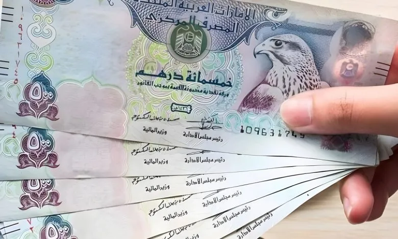 سعر الدرهم الاماراتي مقابل الجنيه المصري