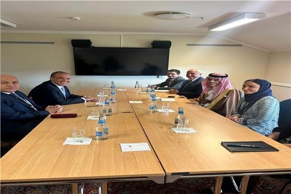 لقاء وزير الخارجية مع
