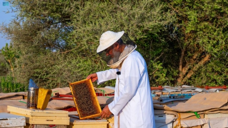 "محمية الملك عبدالعزيز" تطلق