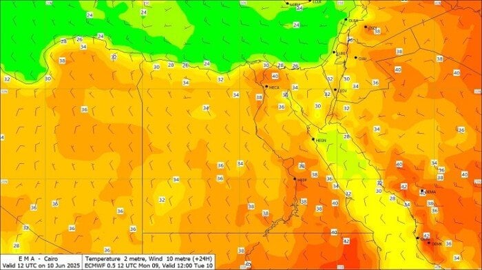مصر تحت وطأة الحرارة..