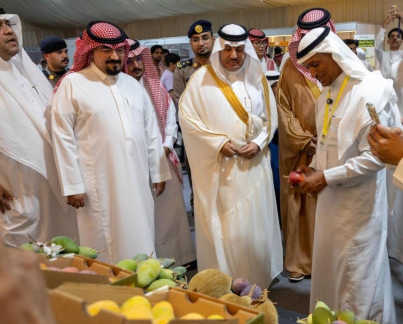 مهرجان المانجو ينطلق بأملج