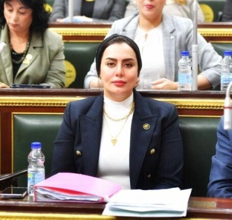 نائبة تؤكد: توجيهات الرئيس