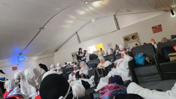 نجاح حجاج نقابة الصحفيين