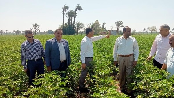 وزارة الزراعة تنظم 6400