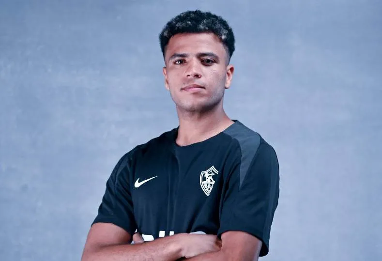 أحمد ربيع