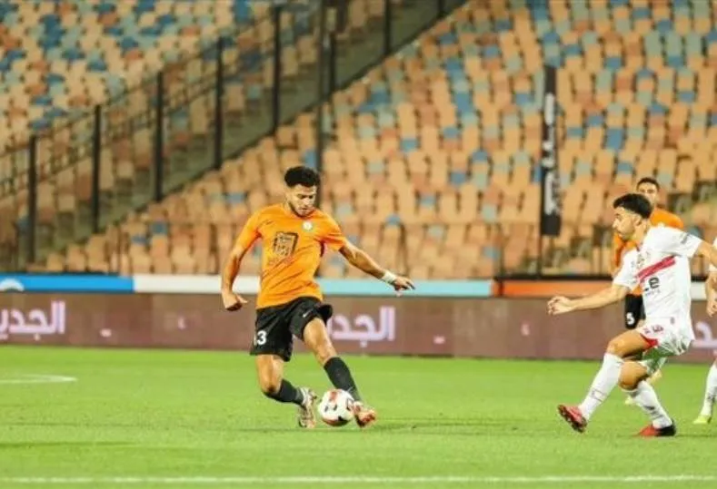 أحمد ربيع