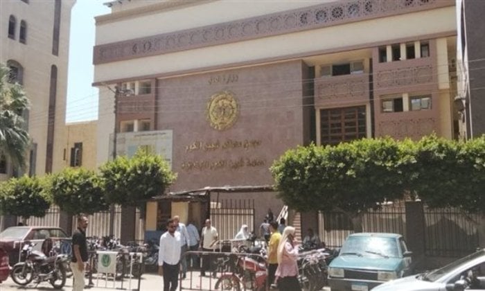أم تتعرض لعقوبة 10 سنوات بتهمة قتل رضيعها غرقًا في البانيو بالمنوفية