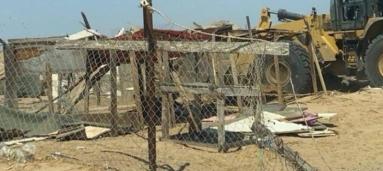 أمانة جدة تكتشف 6 أطنان من الخضروات وتزيل حظائر غير مرخصة