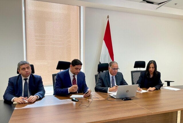 «أهمية مشاركة المصريين» بالخارج في الاستحقاقات الانتخابية المقبلة يؤكدها نائب وزير الخارجية
