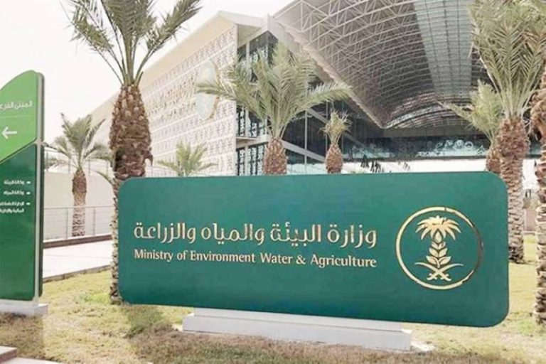 إدارة مزارع الماشية تتبنى إنترنت الأشياء لأول مرة
