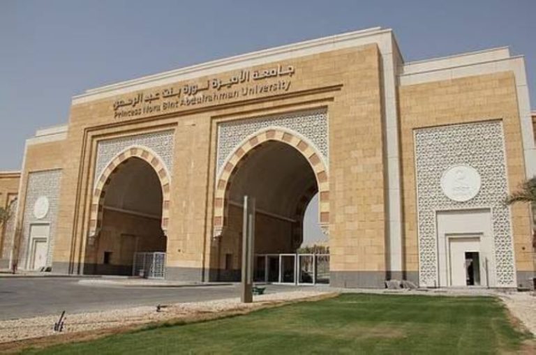 ابتكار جديد: معسكر لإعادة تدوير سعف النخيل