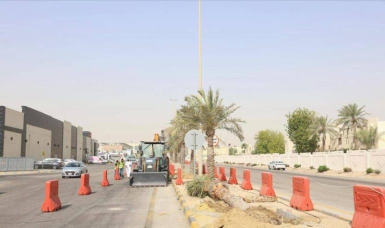 استبدال النخيل بـ 10.000 شجرة ظل في بلدية الخبر