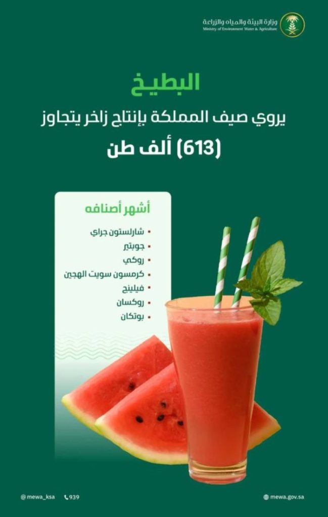 البطيخ يغمر أسواق المملكة بوفرة إنتاجية تتجاوز 610 آلاف طن هذا الصيف