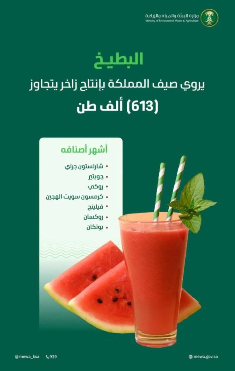 البطيخ يغمر أسواق المملكة بوفرة إنتاجية تتجاوز 610 آلاف طن هذا الصيف