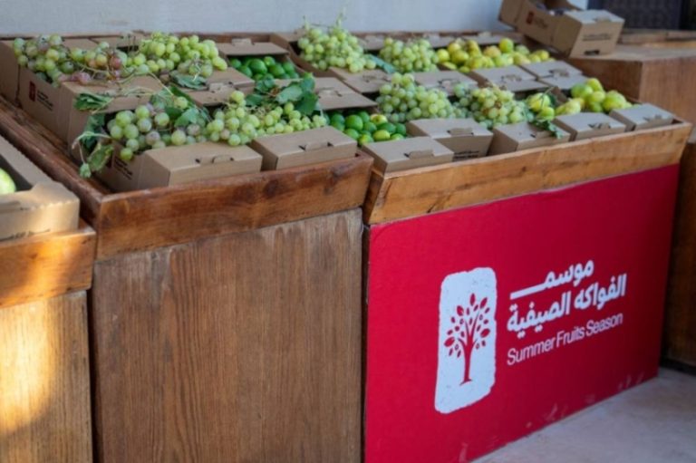 العلا تحتفل بموسم الفواكه الصيفية وإيرادات تتجاوز 12.8 مليون ريال