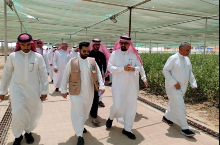 اليوم الدولي لغابات المانجروف يحتفي به بيئة القطيف