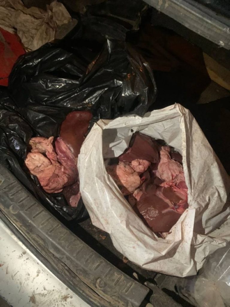بلدية تربة تُحبط تداول 26 كيلوغرامًا من الكبدة الفاسدة