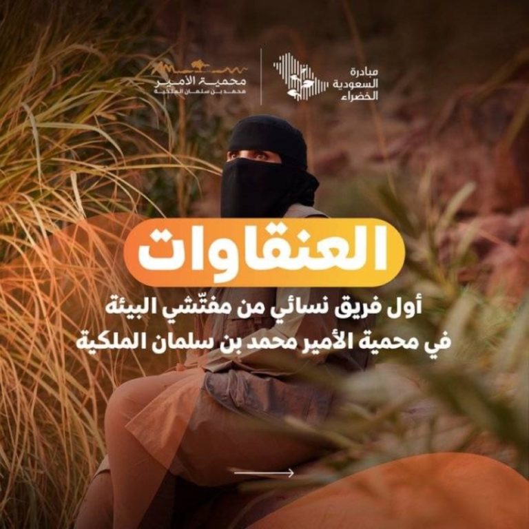 تأهيل المفتشين البيئيين في محمية الأمير محمد بن سلمان الملكية يتقدم بخطوات واضحة