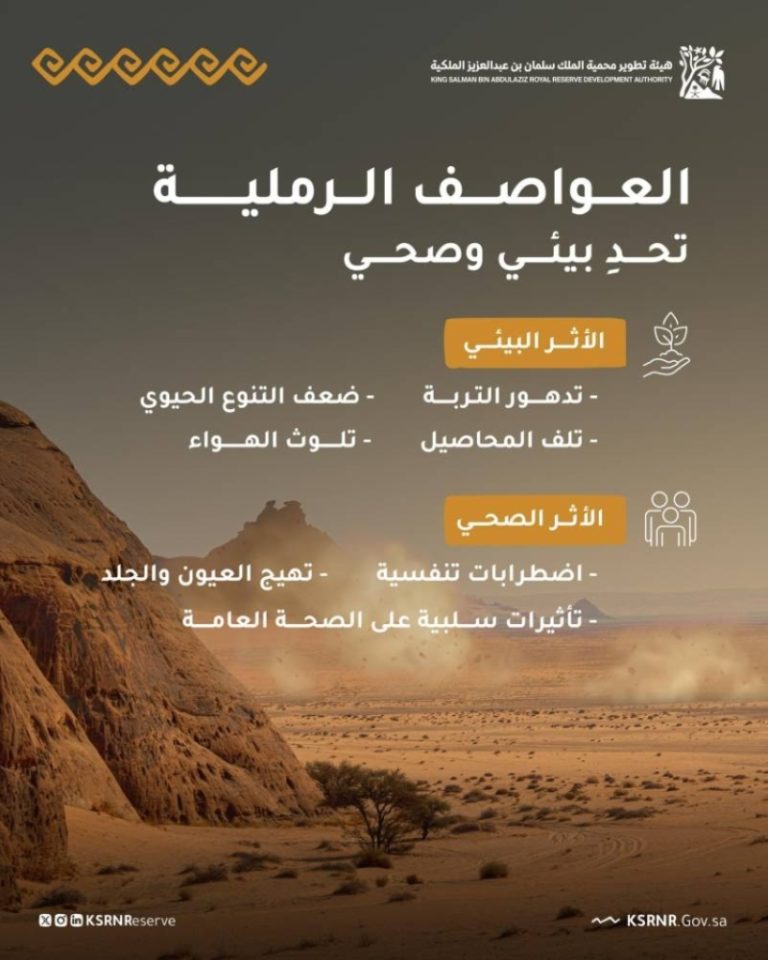 تفعيل اليوم العالمي لمكافحة العواصف