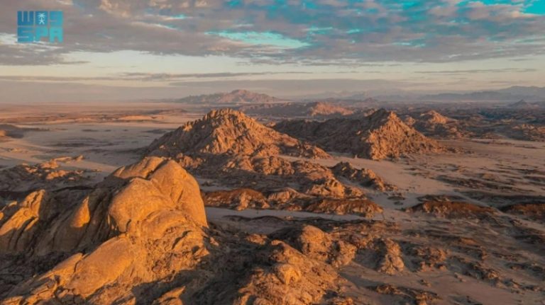 “تقرير موسع للتنوع الحيوي” من البحر الأحمر الدولية لتعزيز حماية الكنوز الطبيعية للمملكة