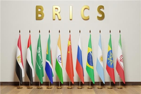 تليفزيون «بريكس» ينوه بمبادرات مصر لحماية البيئة