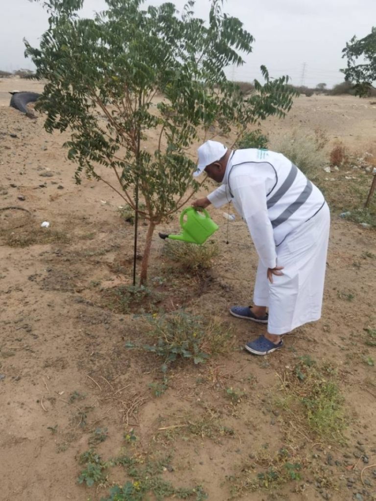 تنفيذ مبادرات سقيا المزروعات بمكاتب “البيئة” في العاصمة المقدسة وخليص وأضم